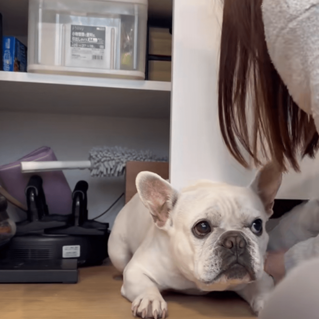 横に押してもダメ？（＠iam_french_hanaさんより提供）