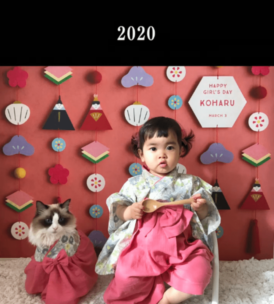 【実際の写真7枚】　6年後の様子