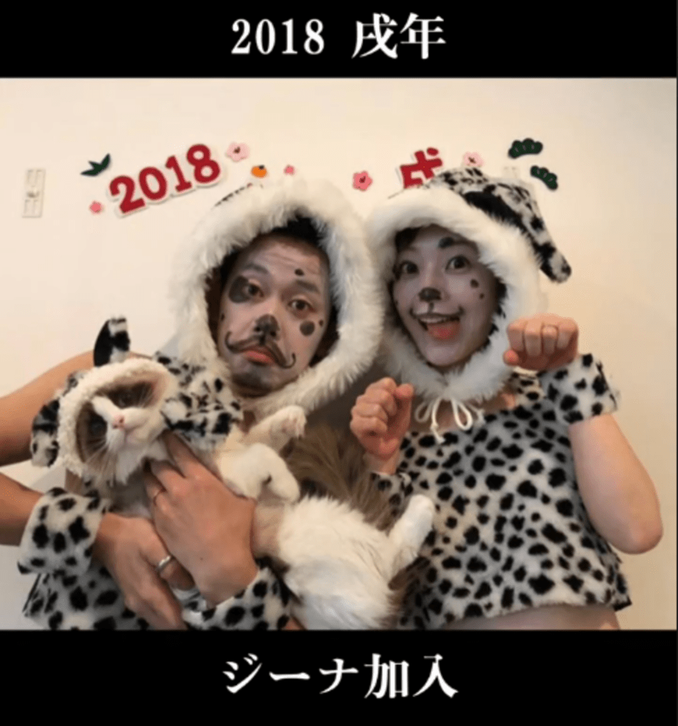 2018年、猫なのに犬の被り物（@kohairomamaさんより提供）