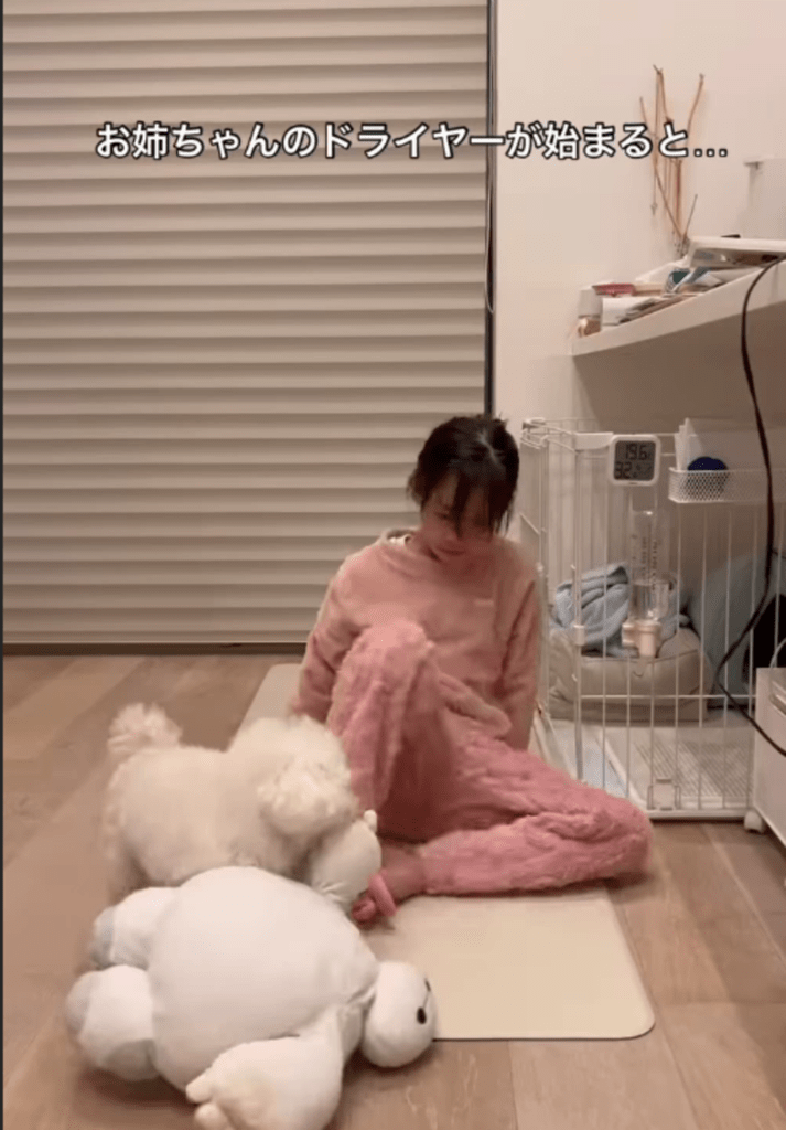 【実際の写真5枚】　ママが見た光景