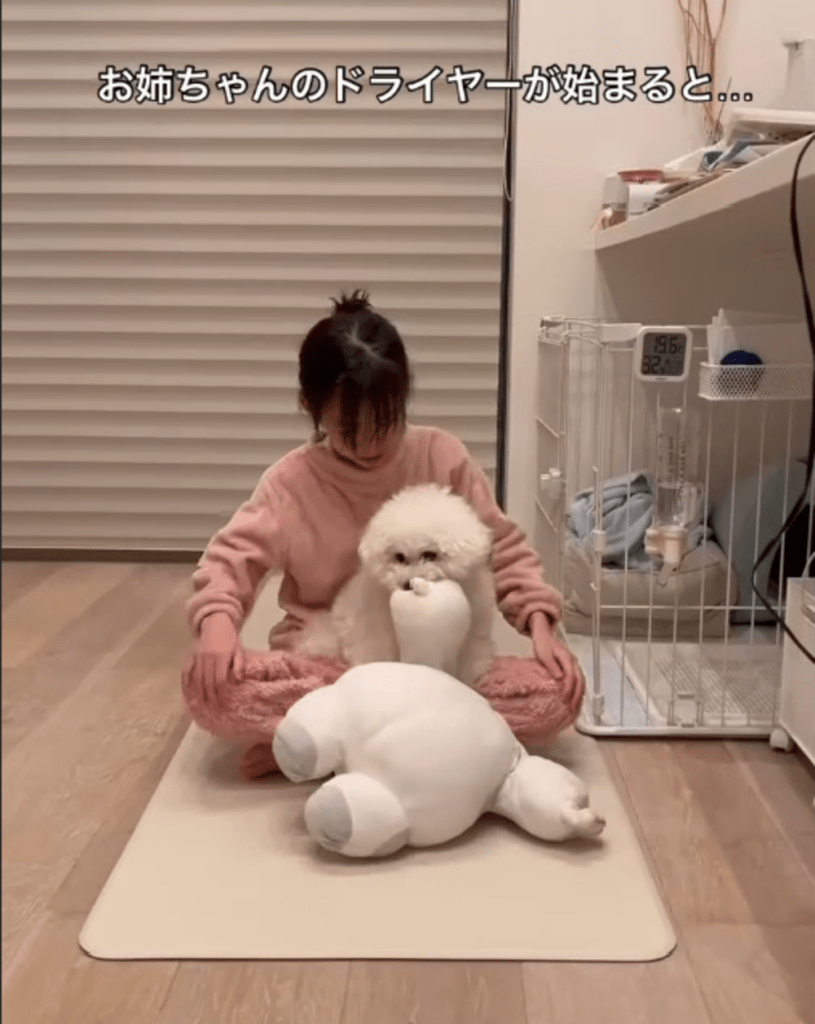 ここが僕の特等席！（@manmaru_marutaさんより提供）