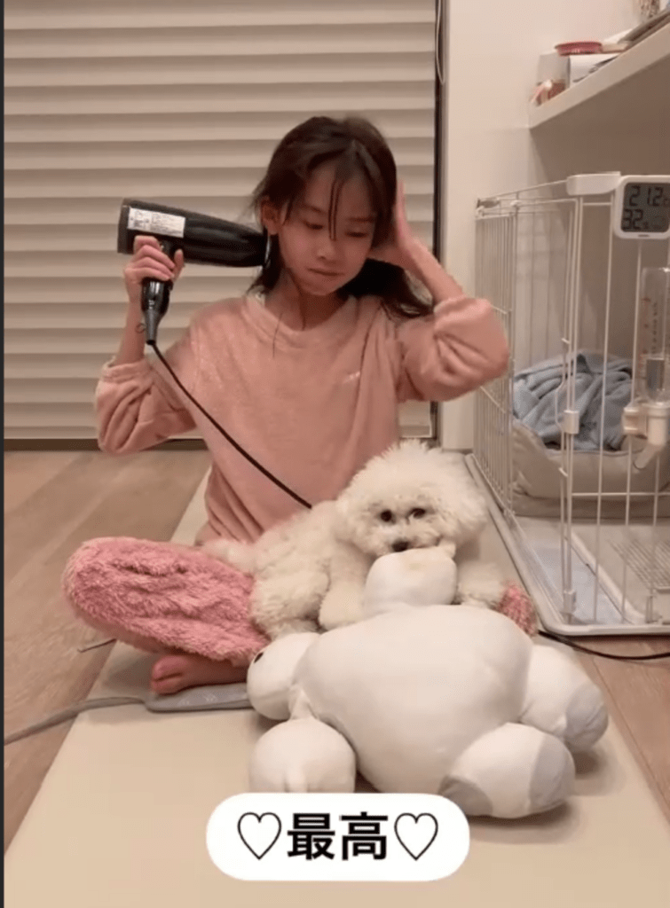 すっかり安心して寝転ぶまるちゃん（@manmaru_marutaさんより提供）