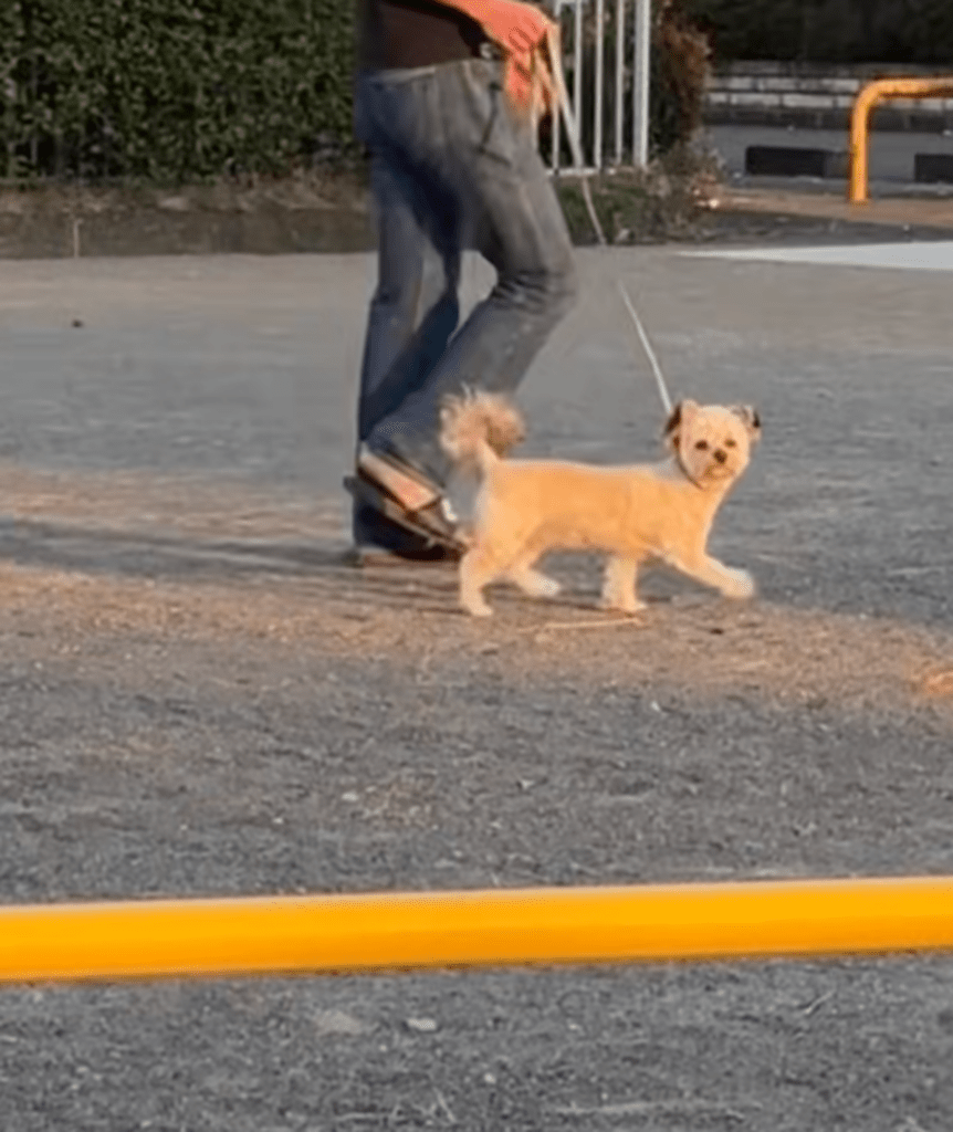 気になるようで…（@gnkikngさんより提供）