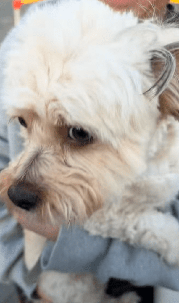 最後には気づいてくれました（@gnkikngさんより提供）