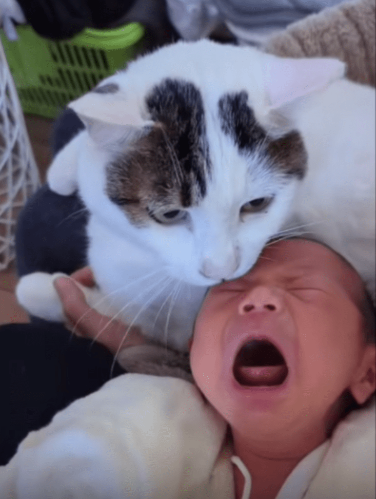 息子さんによりそうゴマツくん（@gomatsuiyoさんより提供）