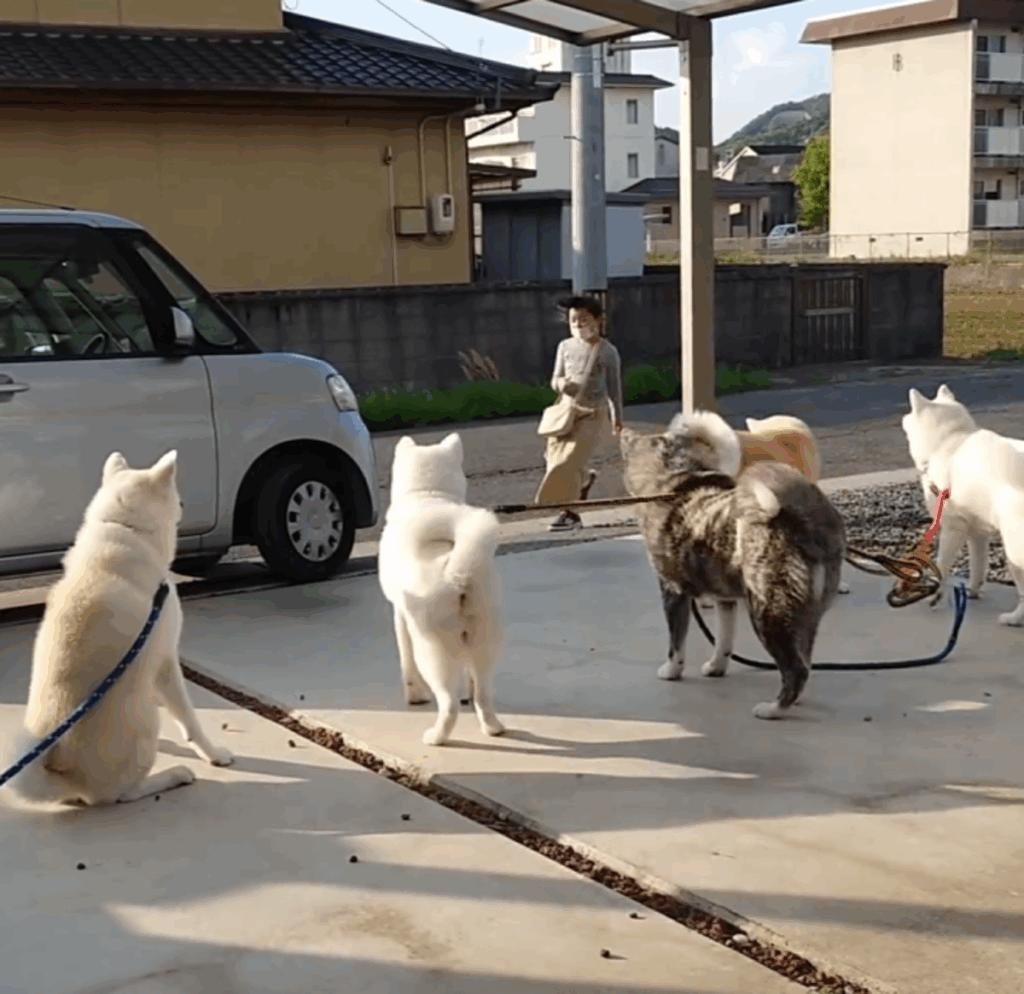 娘さんが無事帰宅！（@ko_yuki1115さんより提供）