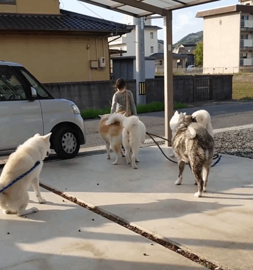 みんなでお出迎え（@ko_yuki1115さんより提供）