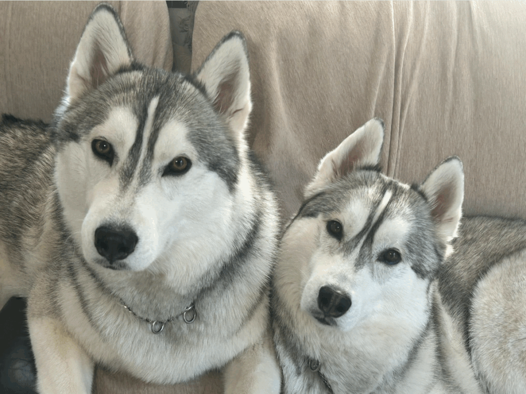 【実際の写真5枚】　ママが見た光景