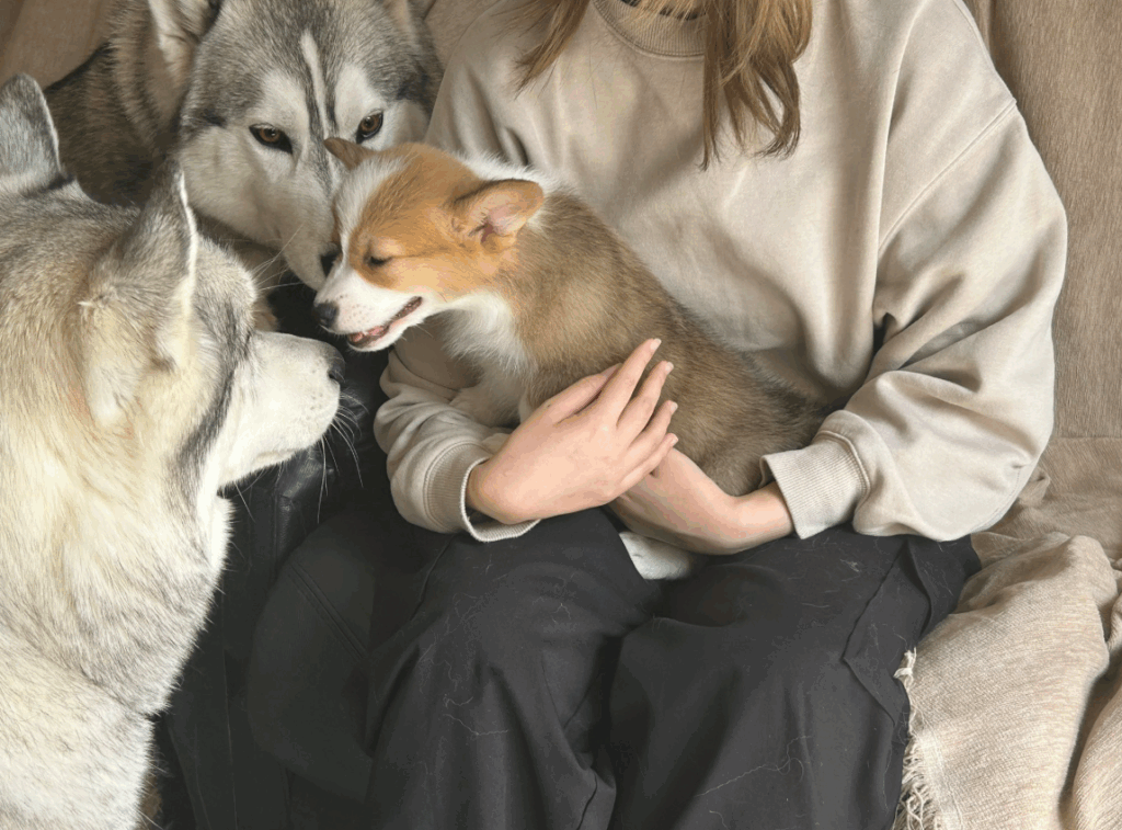 新しく迎えたロアくんと（@RenaSyunさんより提供）