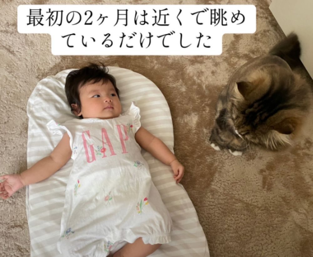 最初の2ヶ月は眺めているだけ（＠carubeeeさんより提供）