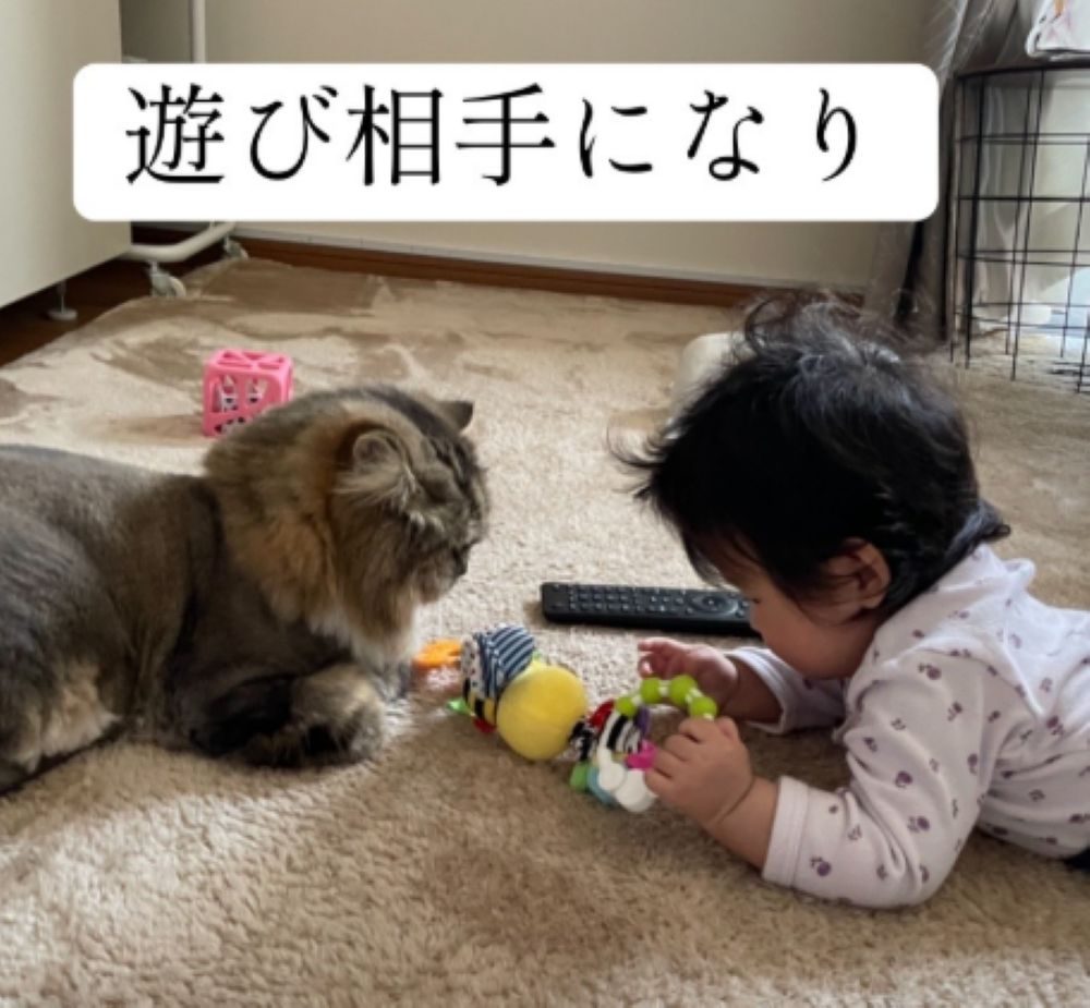 遊び相手に…（＠carubeeeさんより提供）