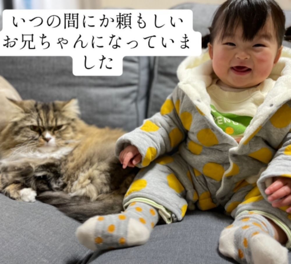 頼もしいお兄ちゃんに（＠carubeeeさんより提供）