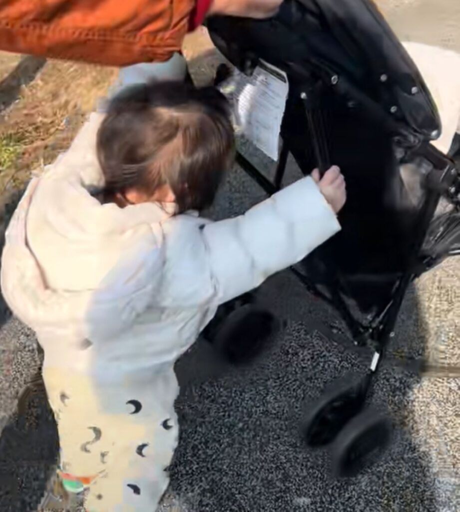 ベビーカーを押す息子さん（＠oosll2ooさんより提供）