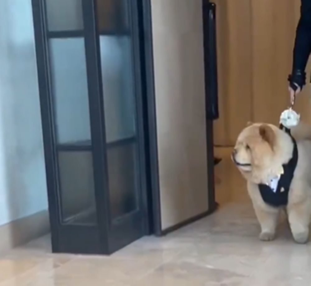 【実際の写真5枚】　投稿者さんが見た光景