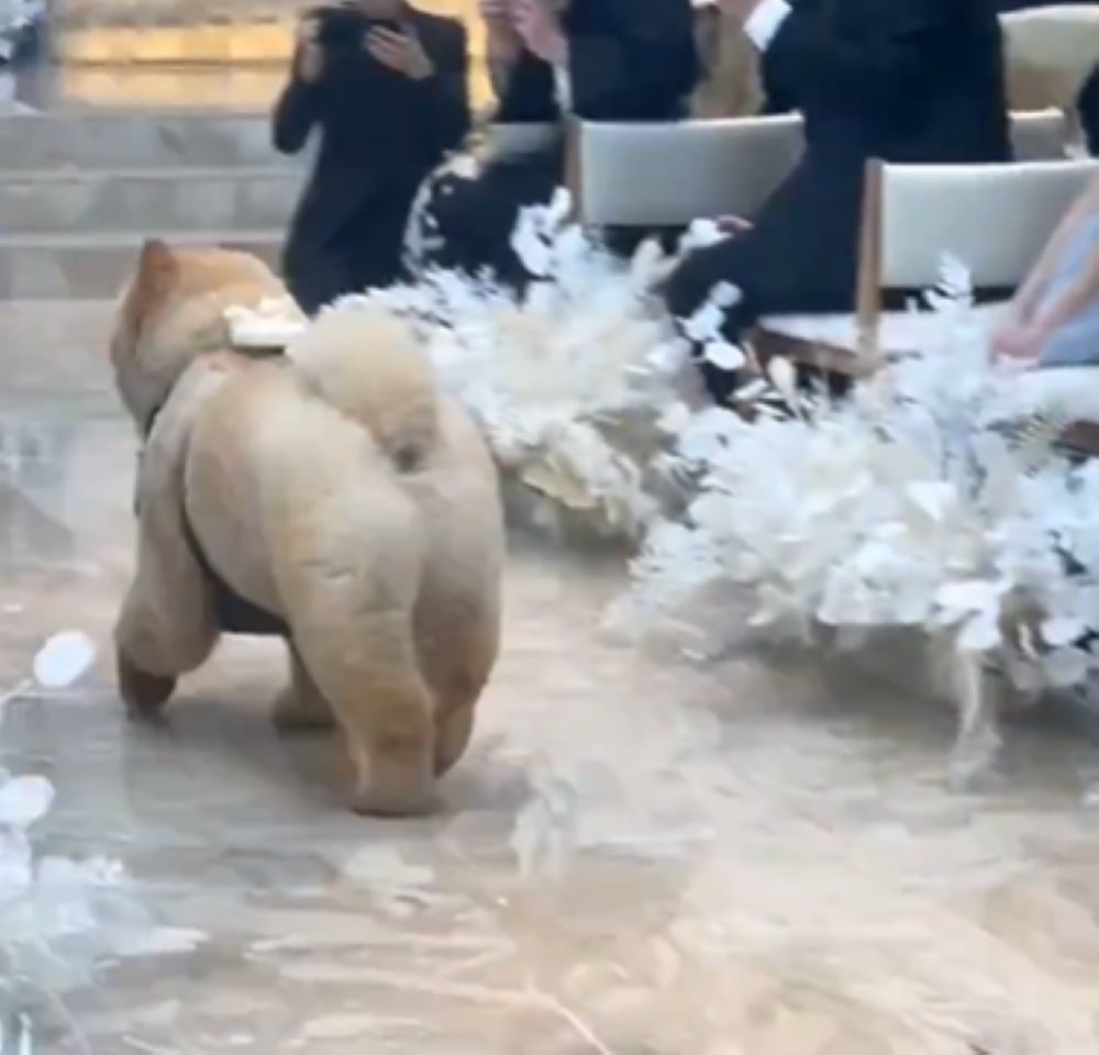 新郎新婦のもとへ（@kurizo_chowさんより提供）