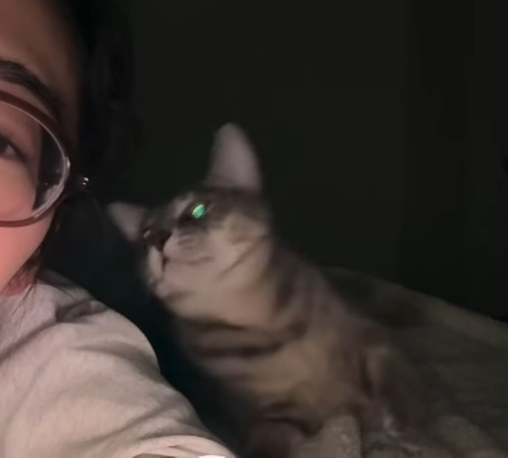 見つめるルクくん（＠narunaru0424さんより提供）