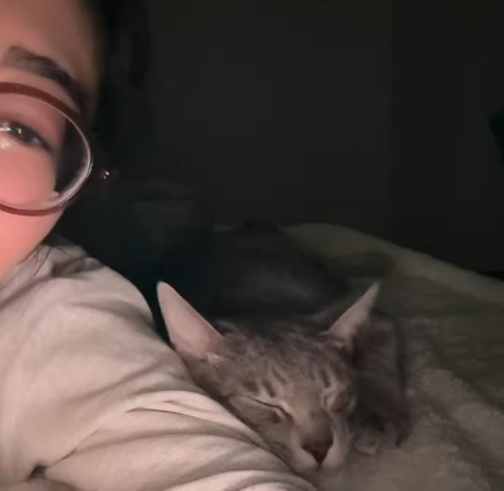 すり寄って眠ります（＠narunaru0424さんより提供）