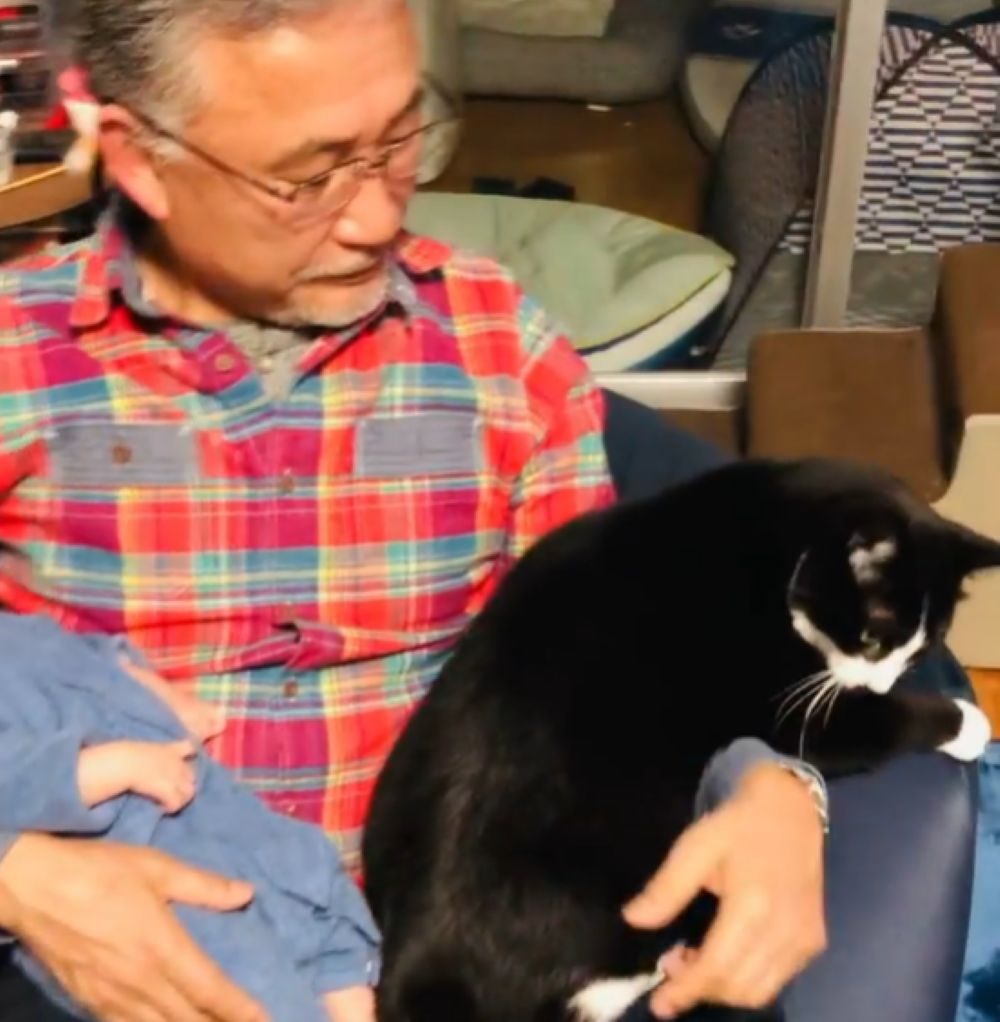 もう一方の腕には猫のハンドくん（＠163svさんより提供）