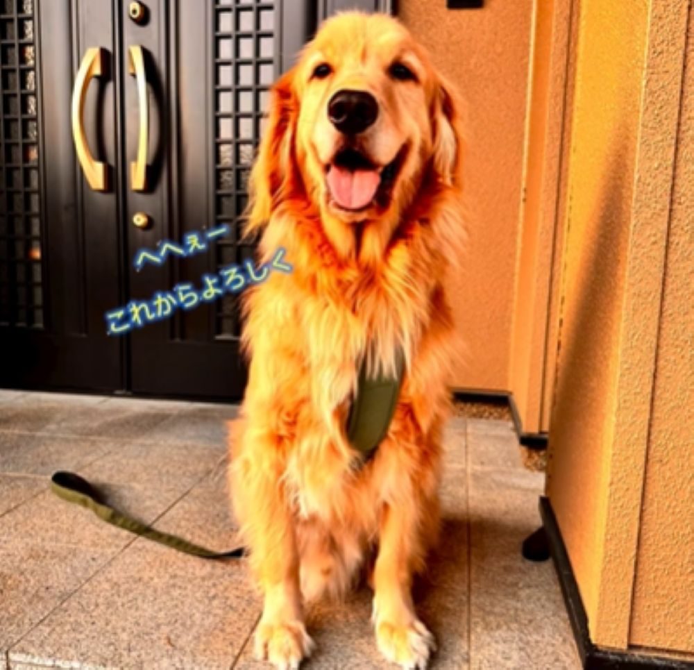 【実際の写真6枚】　飼い主さんが見た光景