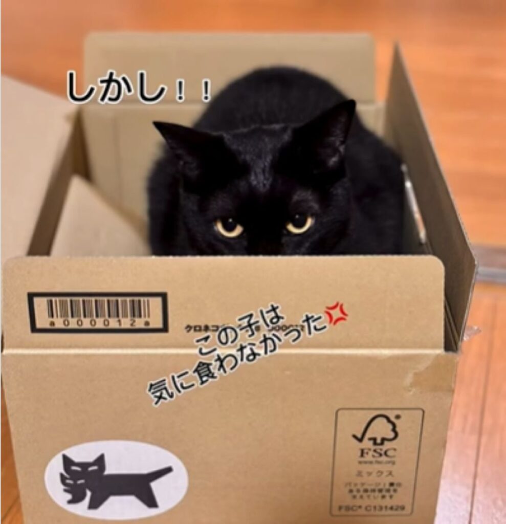 黒猫のチョロくん（＠samiy7373さんより提供）