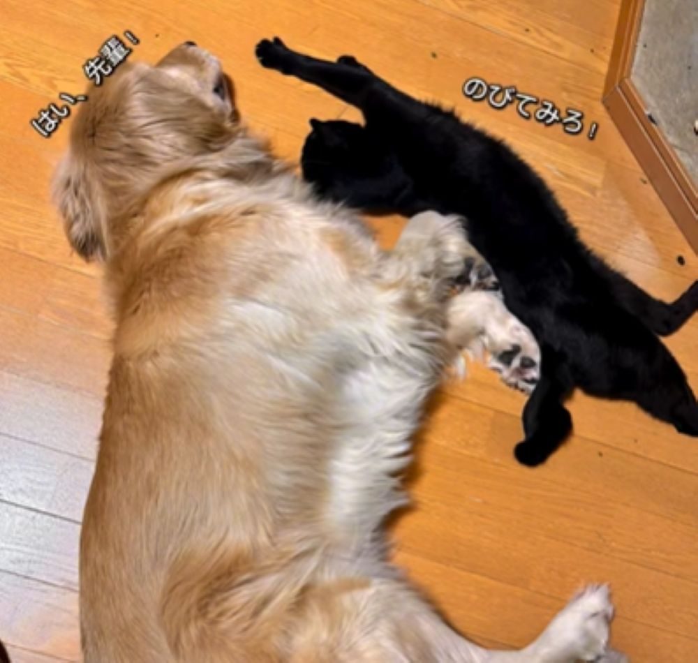 すっかり仲良しに（＠samiy7373さんより提供）