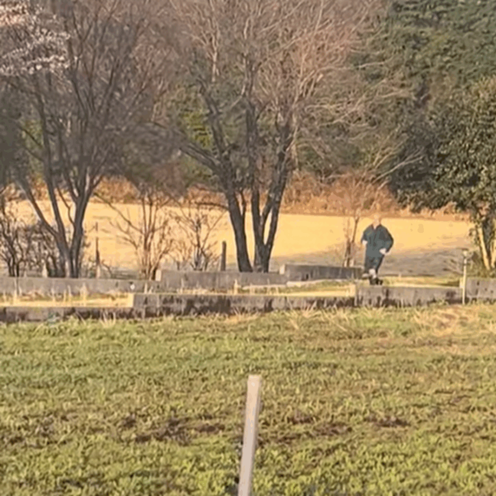 【実際の写真5枚】　孫が見た光景