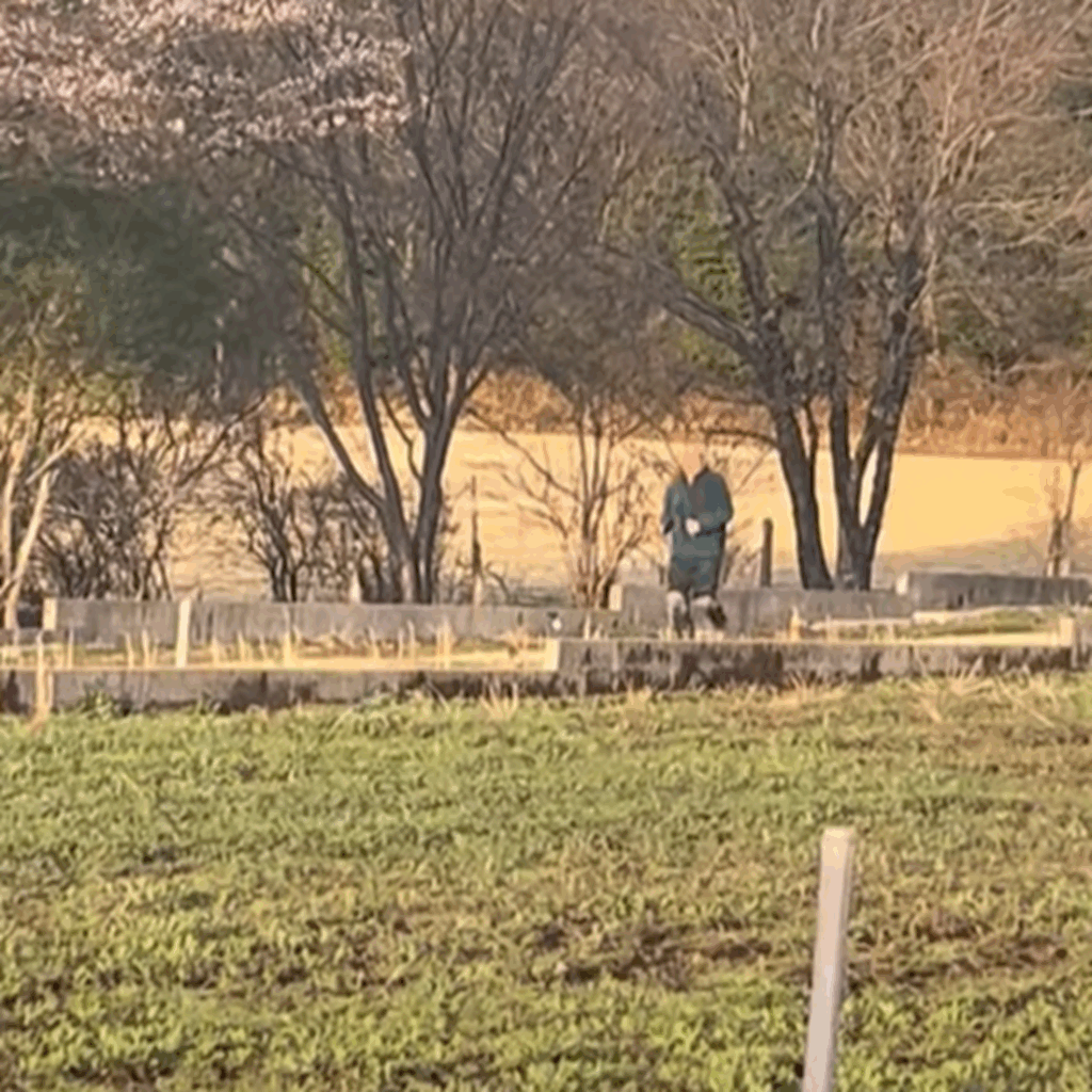 全速力のおじいちゃん（＠ji_.tan530さんより提供）