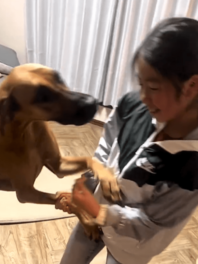 ジャンプでお出迎え（＠ohisamachannelさんより提供）