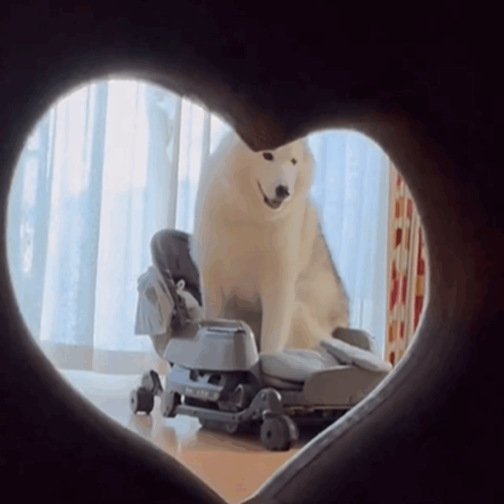 ん？何しているの？（＠bokumarleyさんより提供）