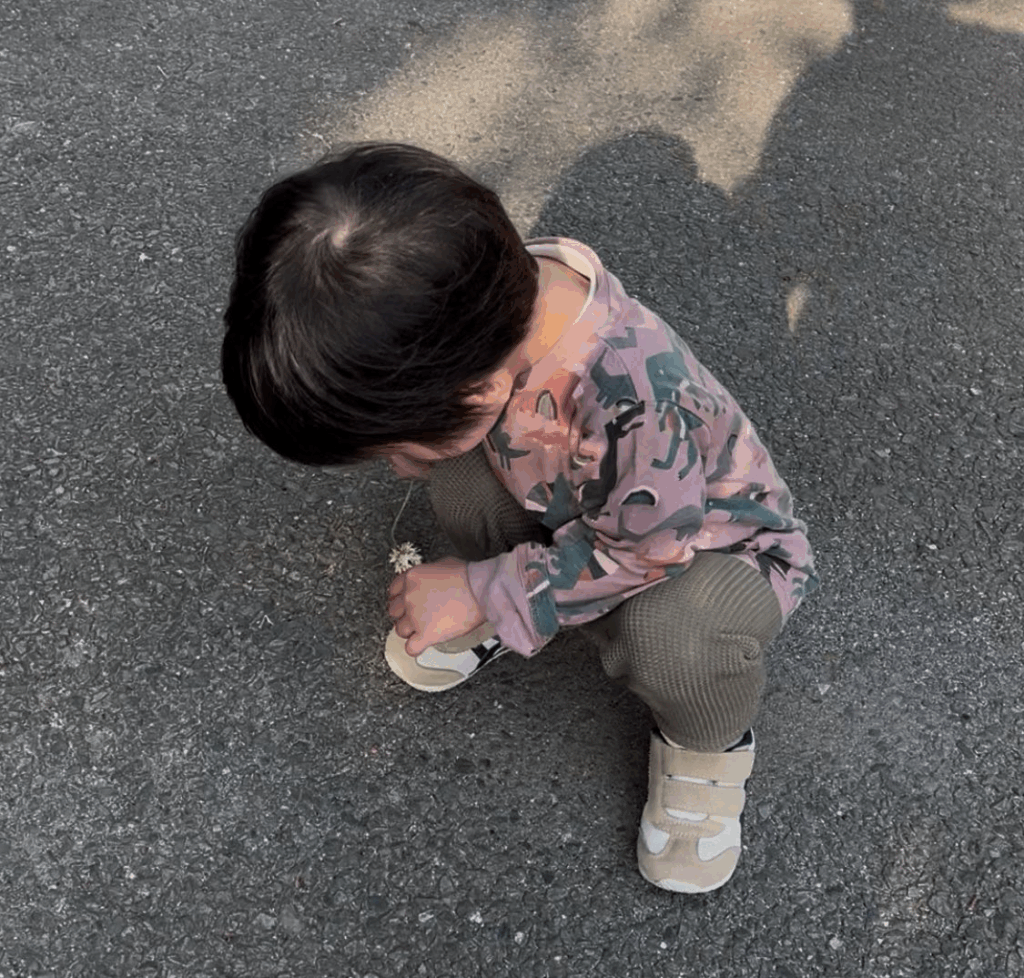 【実際の写真３枚】　ママが見た光景