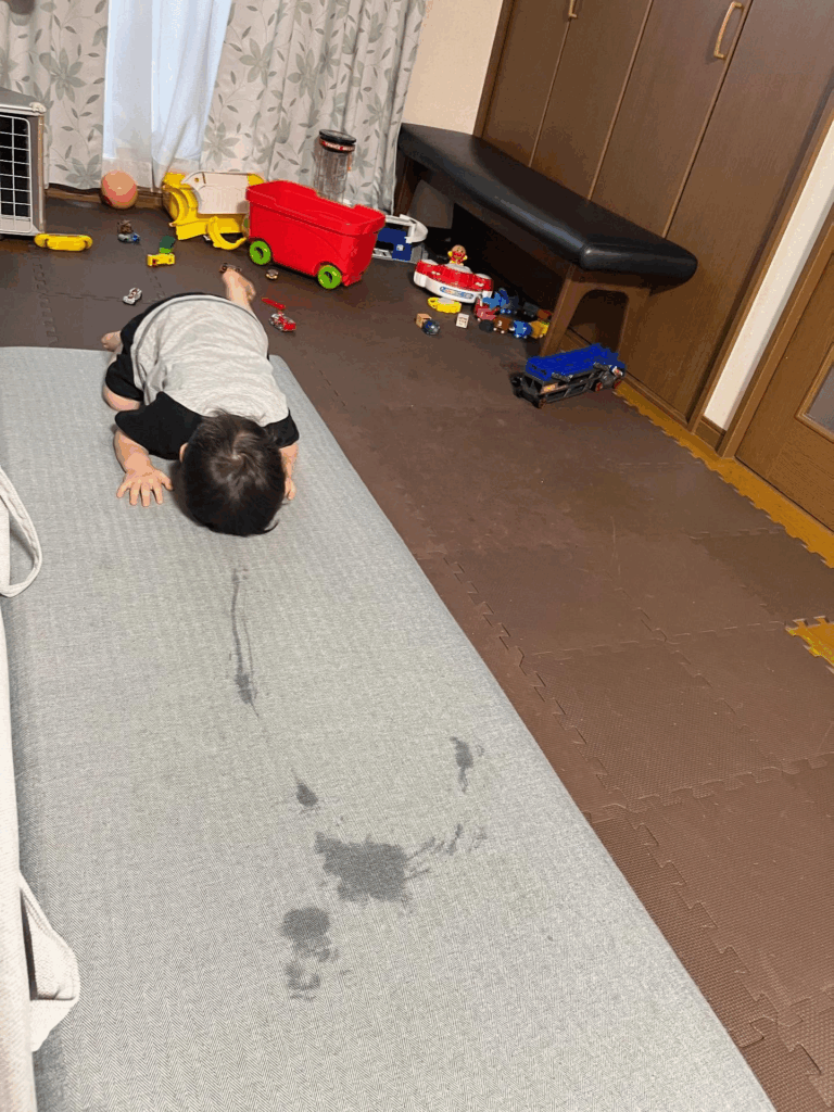 ほふく前進・後退の様子②（@takoromansaさんより提供）