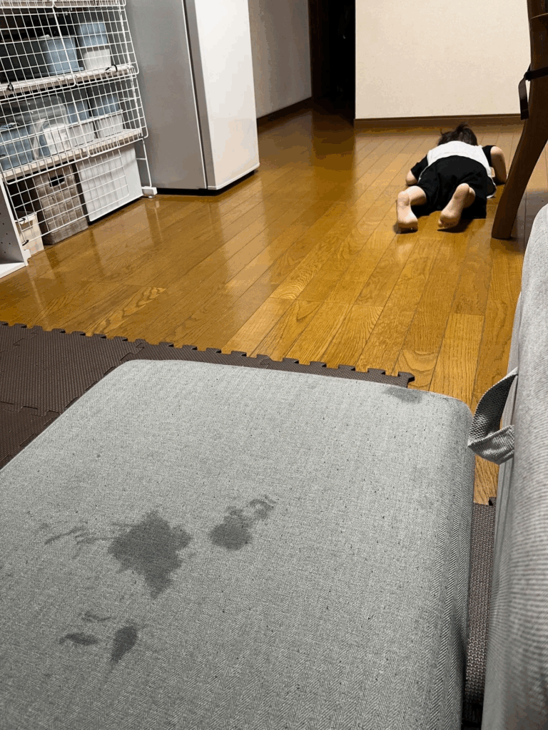 【実際の写真6枚】　パパが見た光景