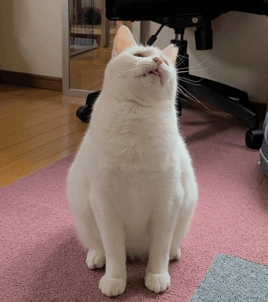 今から2年くらい前（＠NYANMARUKEさんより提供）