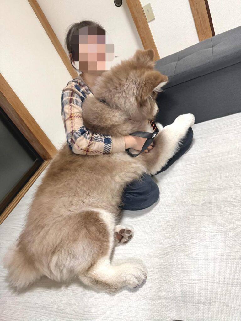 生後170日を過ぎて②（＠wulfricashさんより提供）