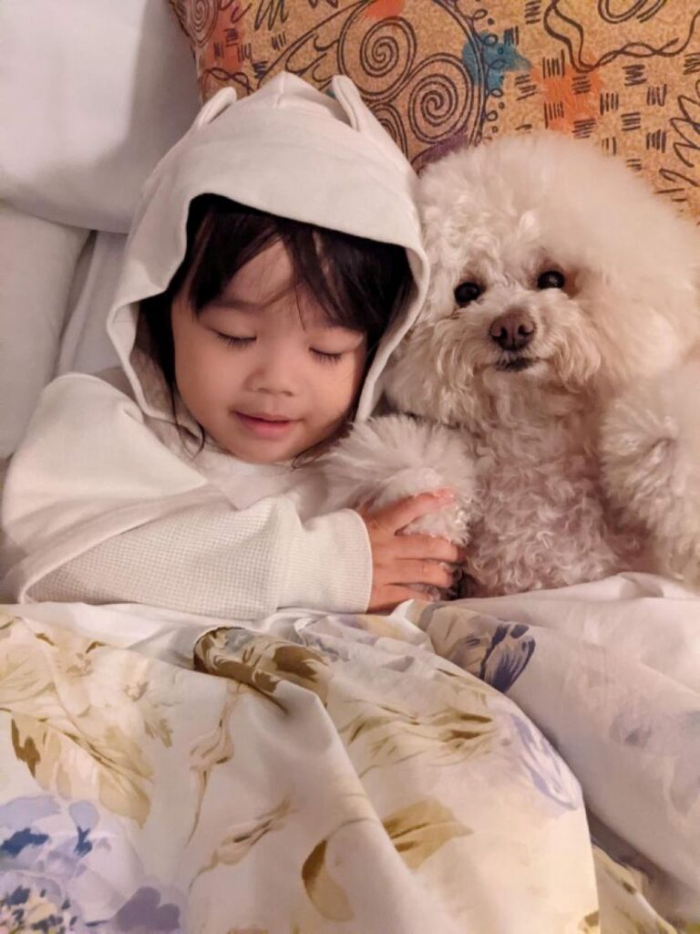 仲良しな様子（＠pupuch0114さんより提供）