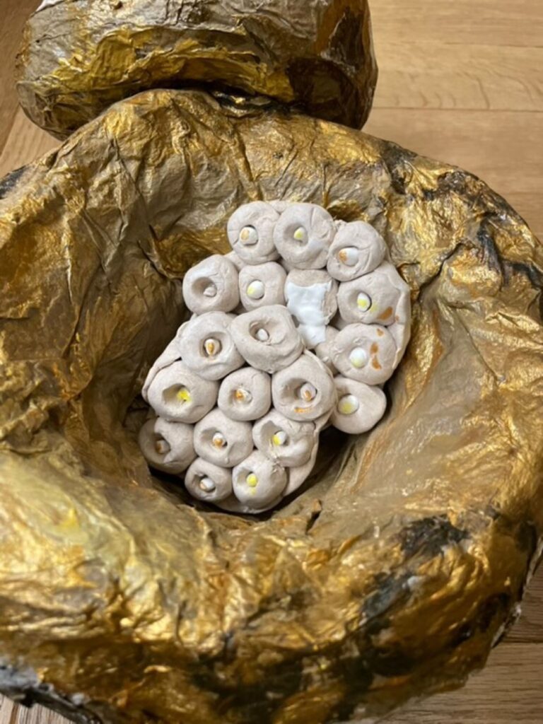 夏休みの自由研究作品⑦（＠yamagoya_nekonakamaさんより提供）