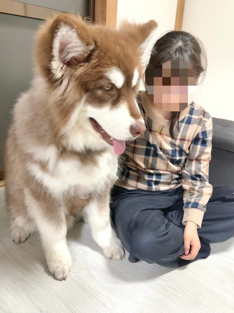 生後170日を過ぎて①（＠wulfricashさんより提供）