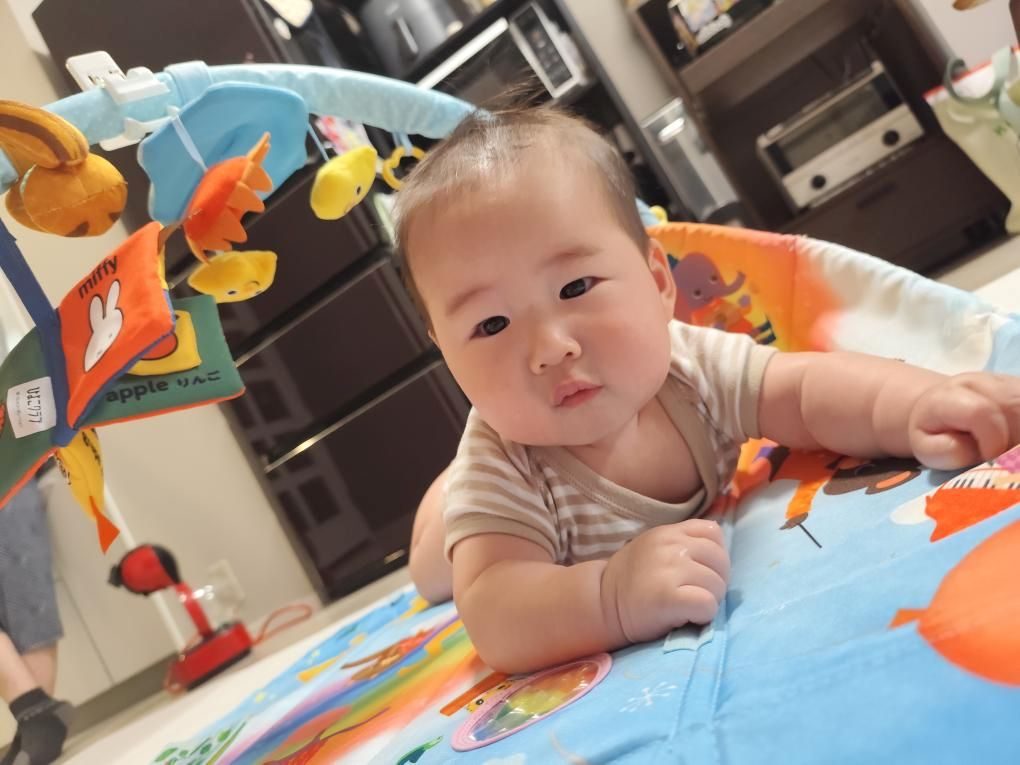 普段の息子さんの様子②（＠00_chi_00さんより提供）