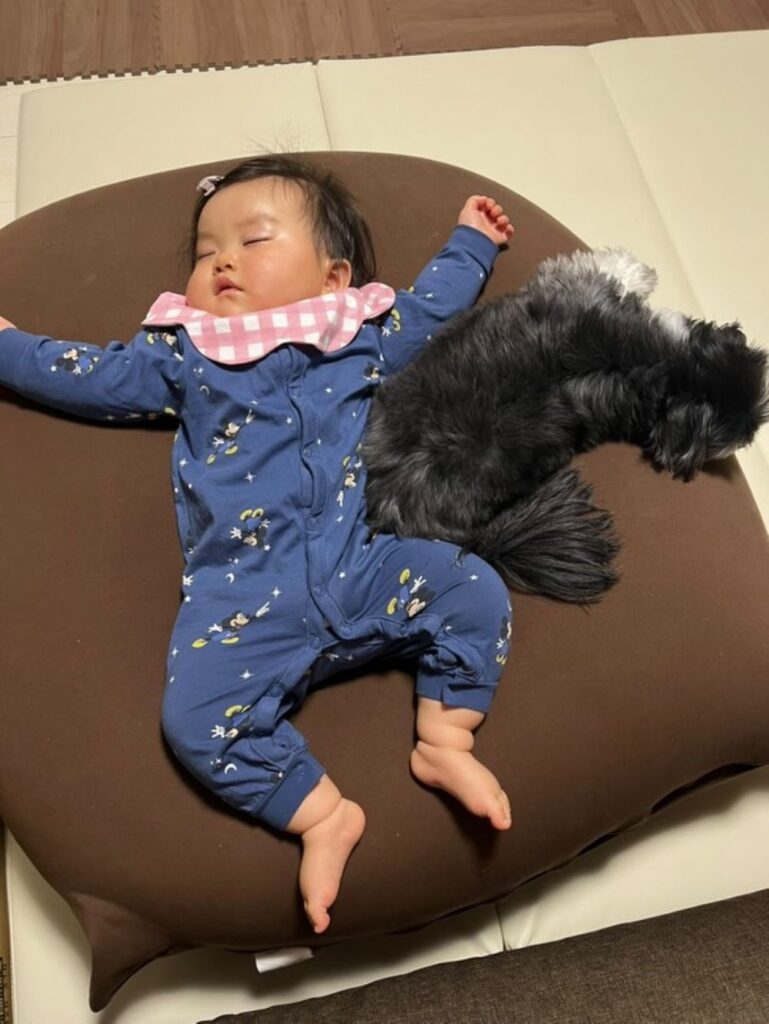 普段の様子④（＠naginagi_0610さんより提供）