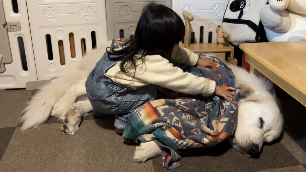 【実際の写真5枚】　2年後の様子