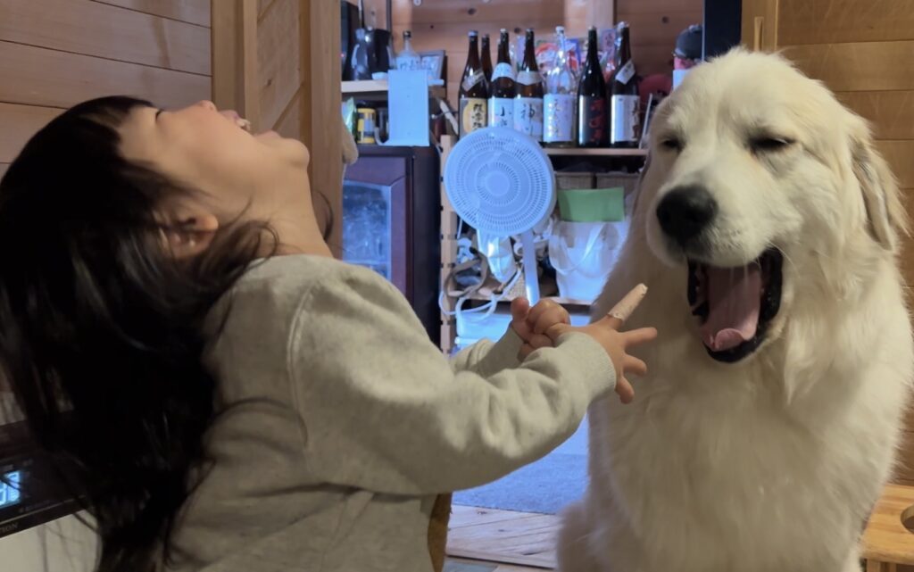 日常の様子③（@yamanookukaraさんより提供）