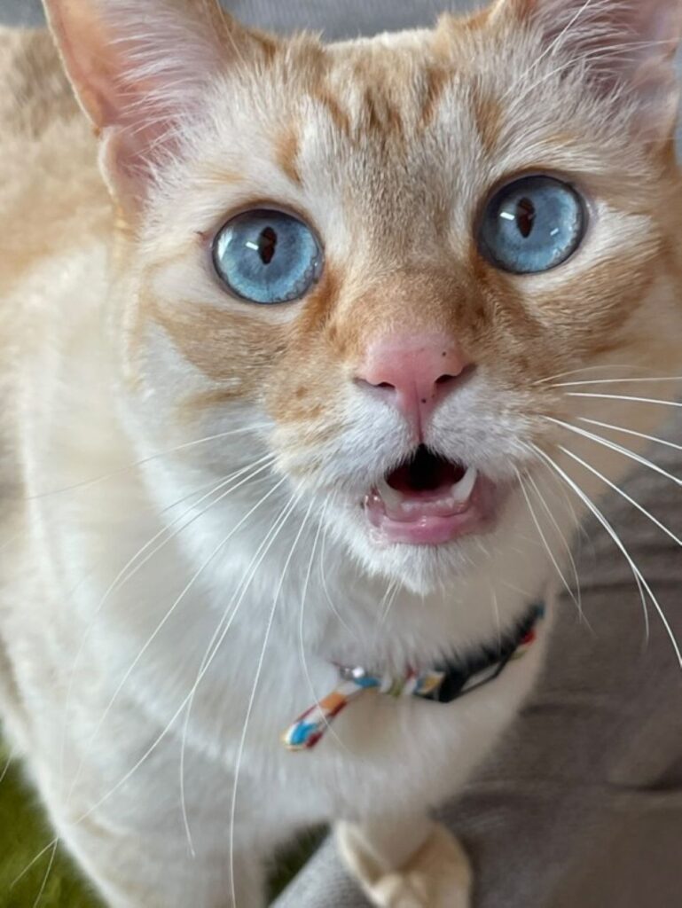 普段の様子①（＠yurimichi_chanさんより提供）