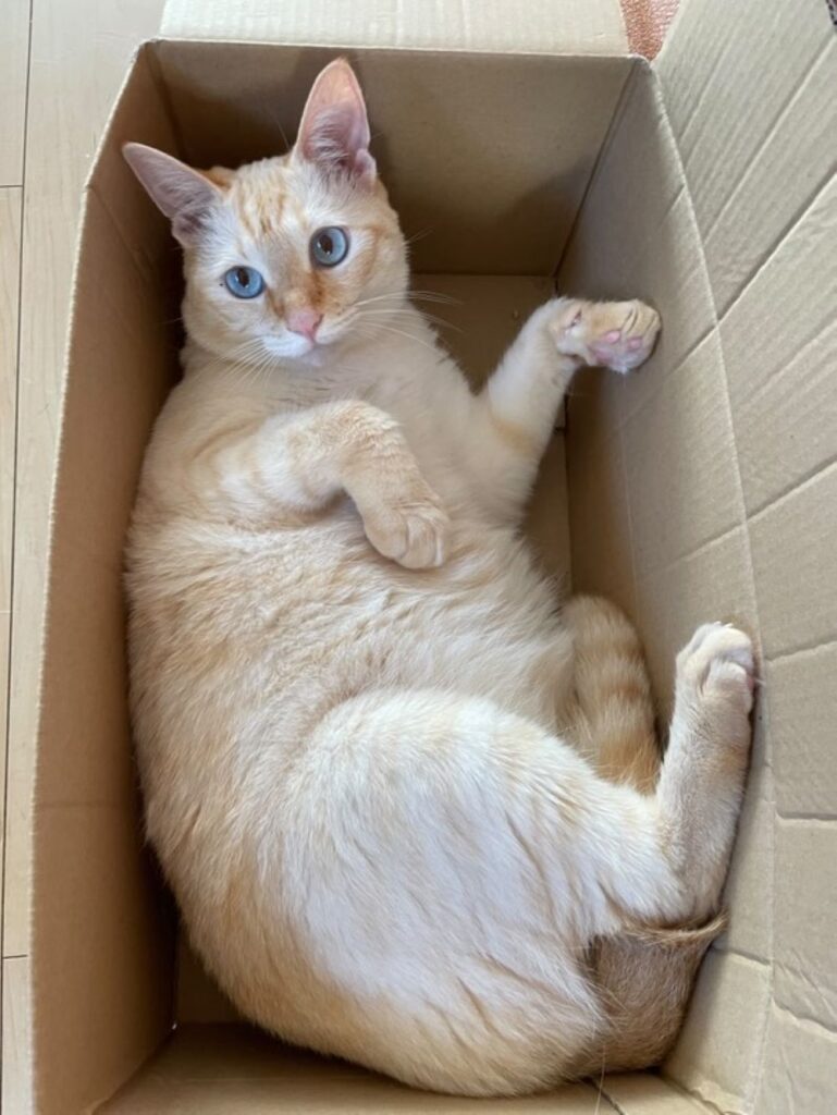 普段の様子②（＠yurimichi_chanさんより提供）