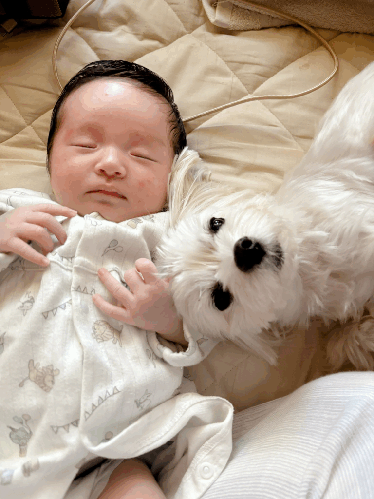 息子さんをそばで見守るワンちゃん（@obake_2ndさんより提供）