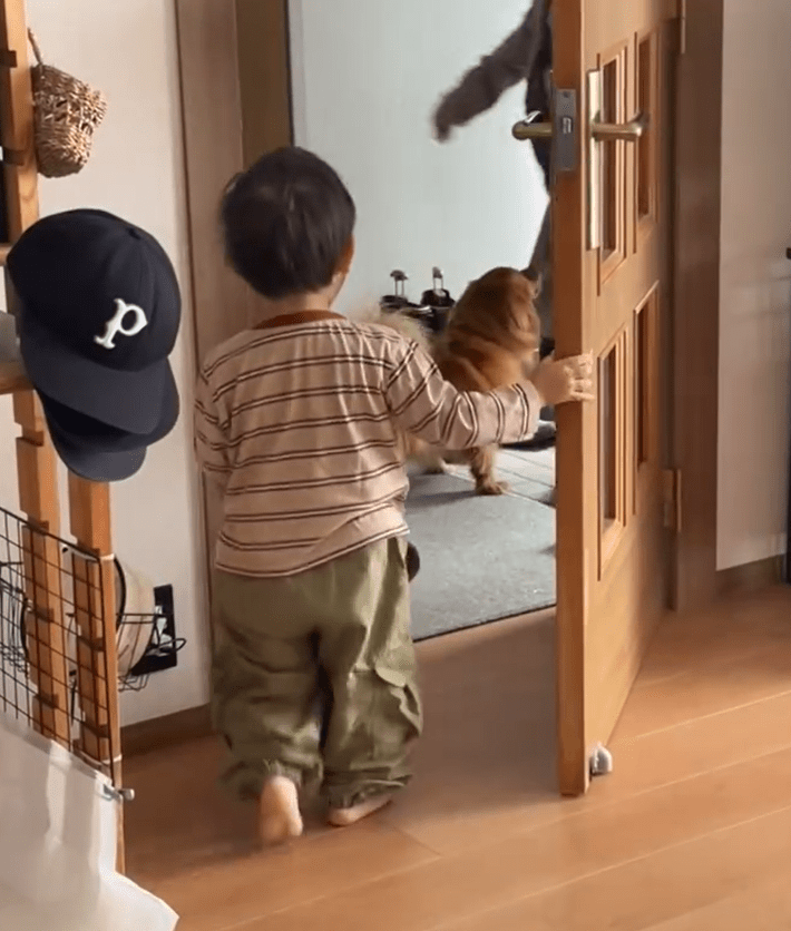 【実際の写真７枚】　ばあばが帰ってきたときの様子