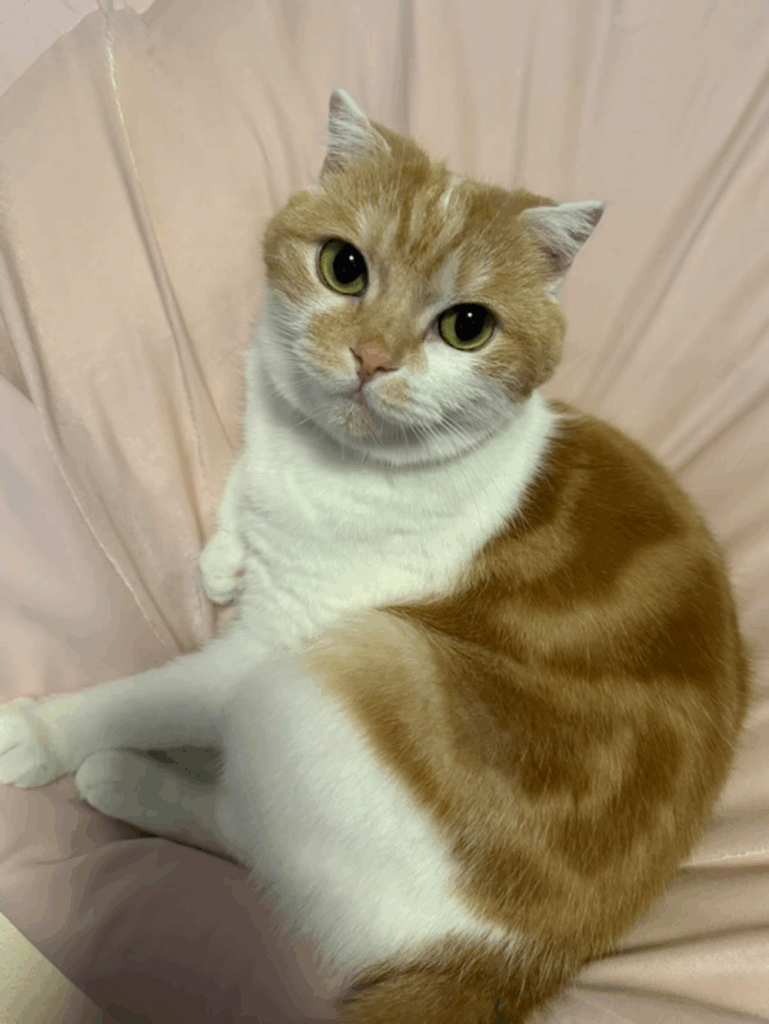 健康のため体重管理はしっかり（@5296saaaaaaaya0906さんより提供）