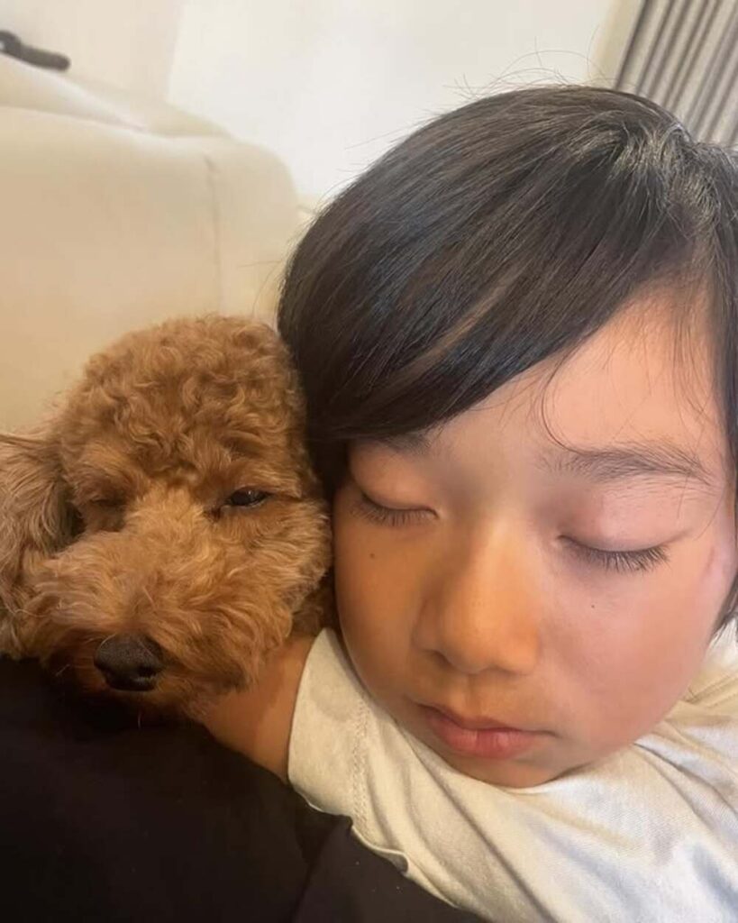 【実際の写真３枚】　ママが見た光景