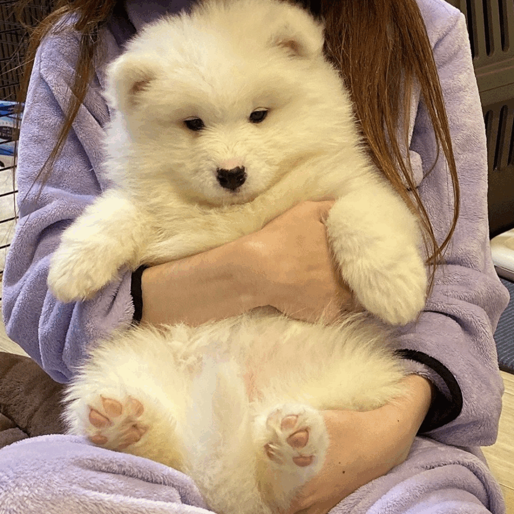 【実際の写真6枚】　3年後の様子