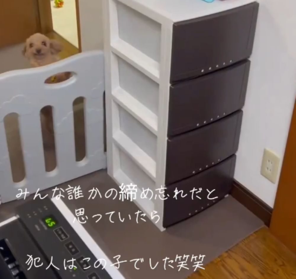 【実際の写真5枚】　犯行の様子