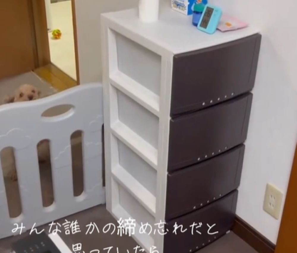 ポポちゃんが取った行動は…（＠himebo.11.57さんより提供）